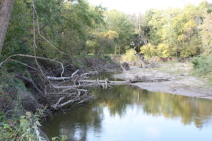 Southern Minnesota's LeSeuer River Today.